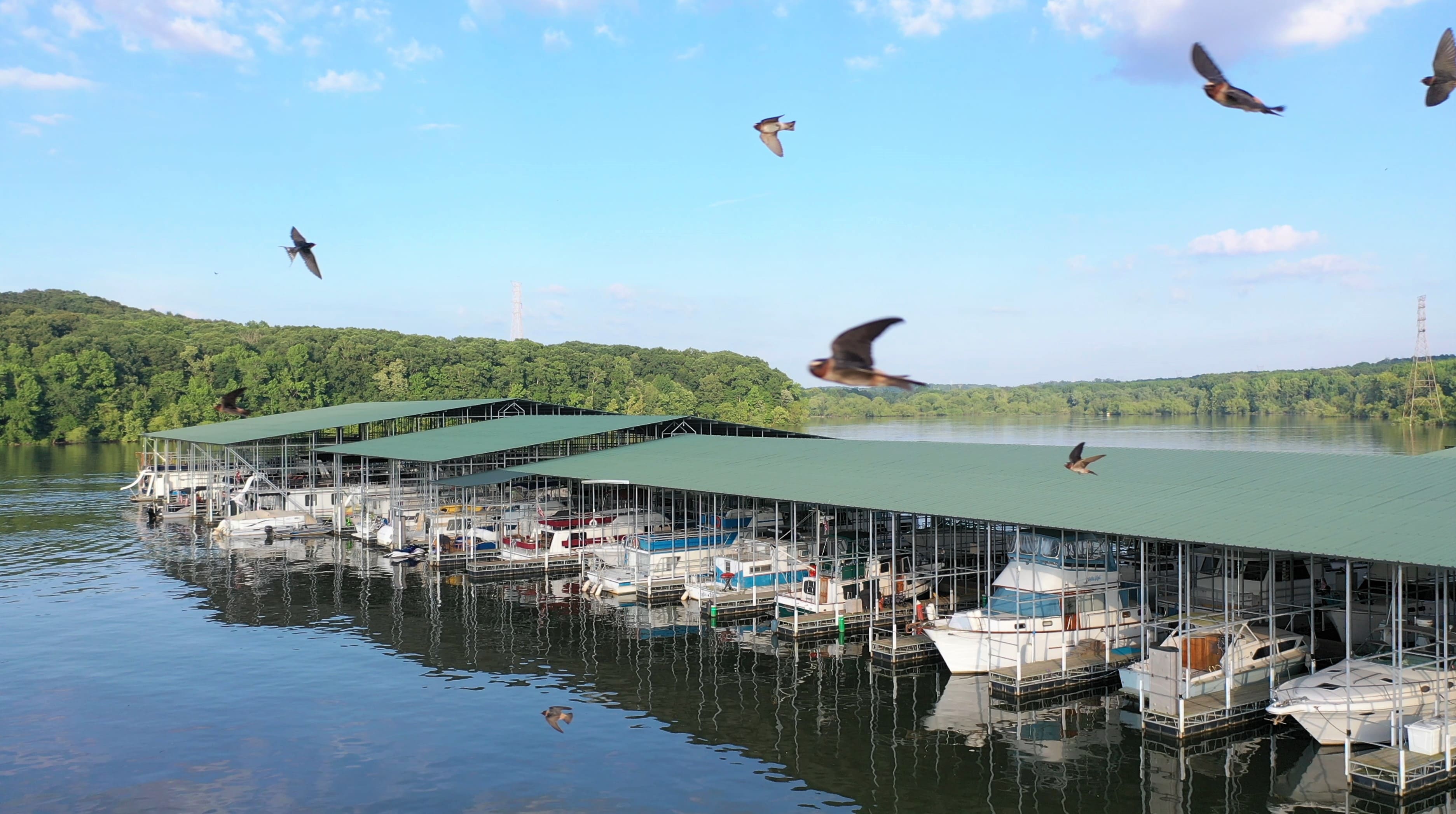 Kentucky lake boat slip with multiple boats.